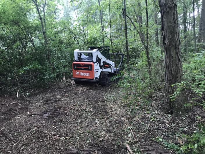 Our bobcat can plow away any obstructions like trees, branches and more. 